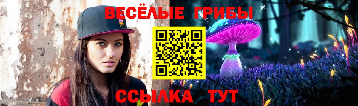Псилоцибиновые грибы GOLDEN TEACHER  Псилоцибиновые грибы MAGIC MUSHROOMS  Вход с VPN  Бутурлиновка 